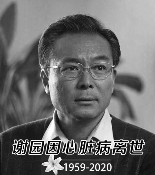 谢园爆料教授是谁啊视频,揭秘娱乐圈背后的故事